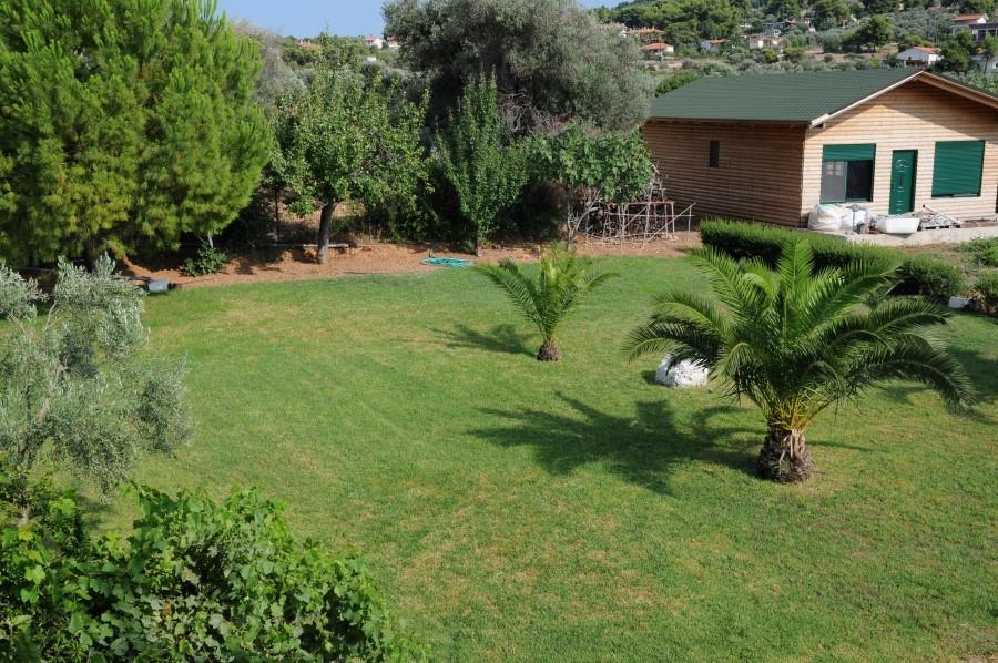 Hotel Delfini Theologos  Pokoj fotografie